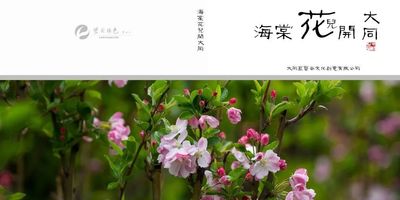 2018首届中国·大同海棠花会在西城墙海棠公园启幕